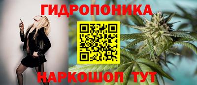 шишки Ярцево